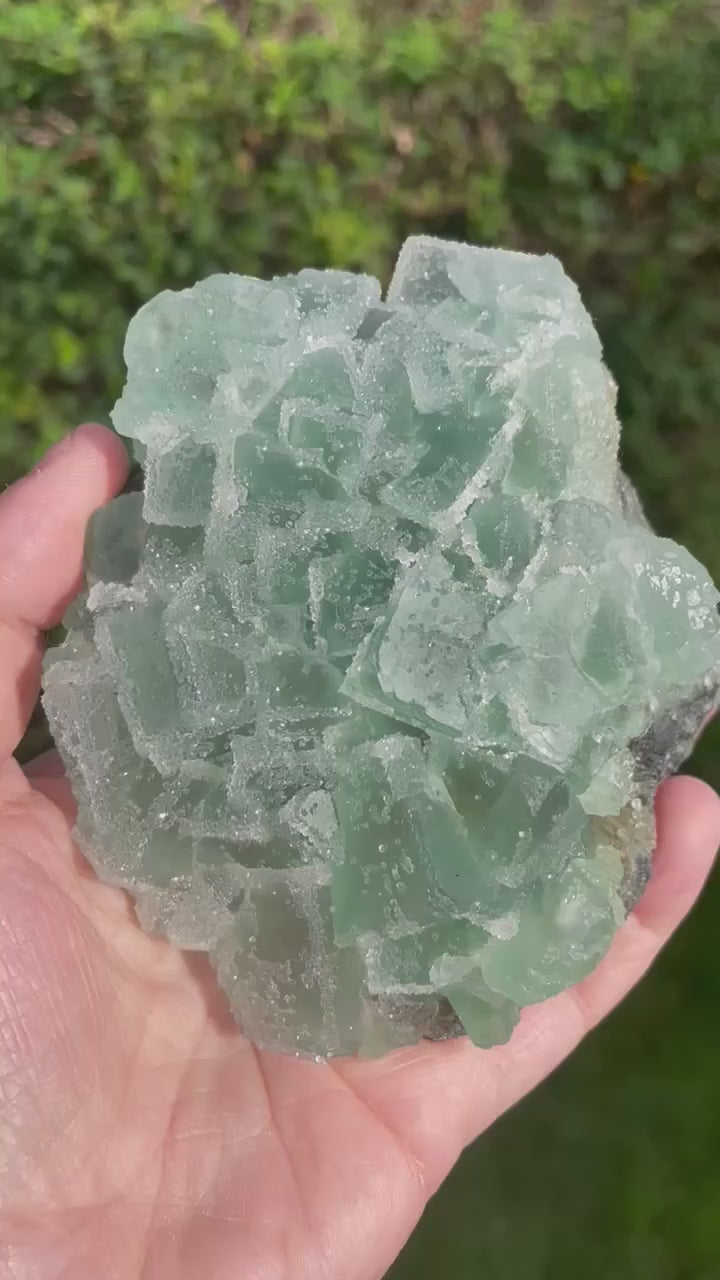 Large Sugar Cube Green Fluorite Specimens