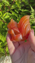 Load and play video in Gallery viewer, Druzy Carnelian Red Squirrel Carving
