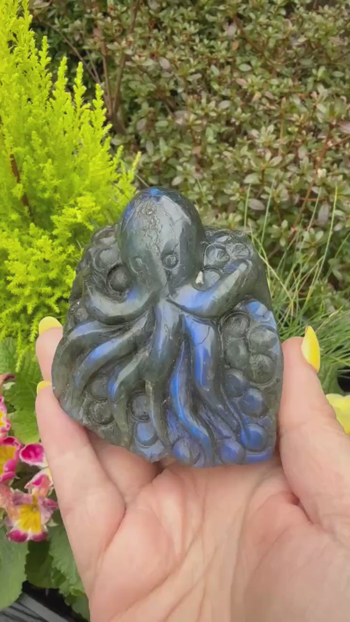 Blue Flash Labradorite Octopus Carving