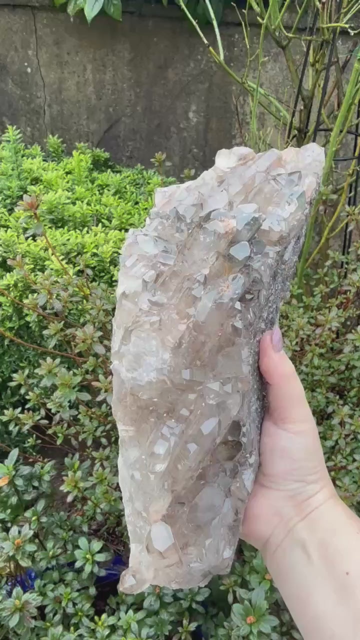 Statement Elestial Crocodile Smoky Quartz Cluster
