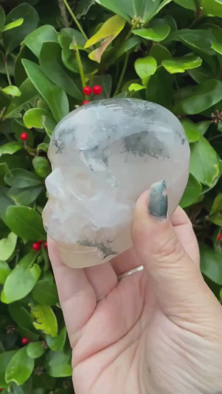 Dendritic Quartz and Golden Healer Skull Carving