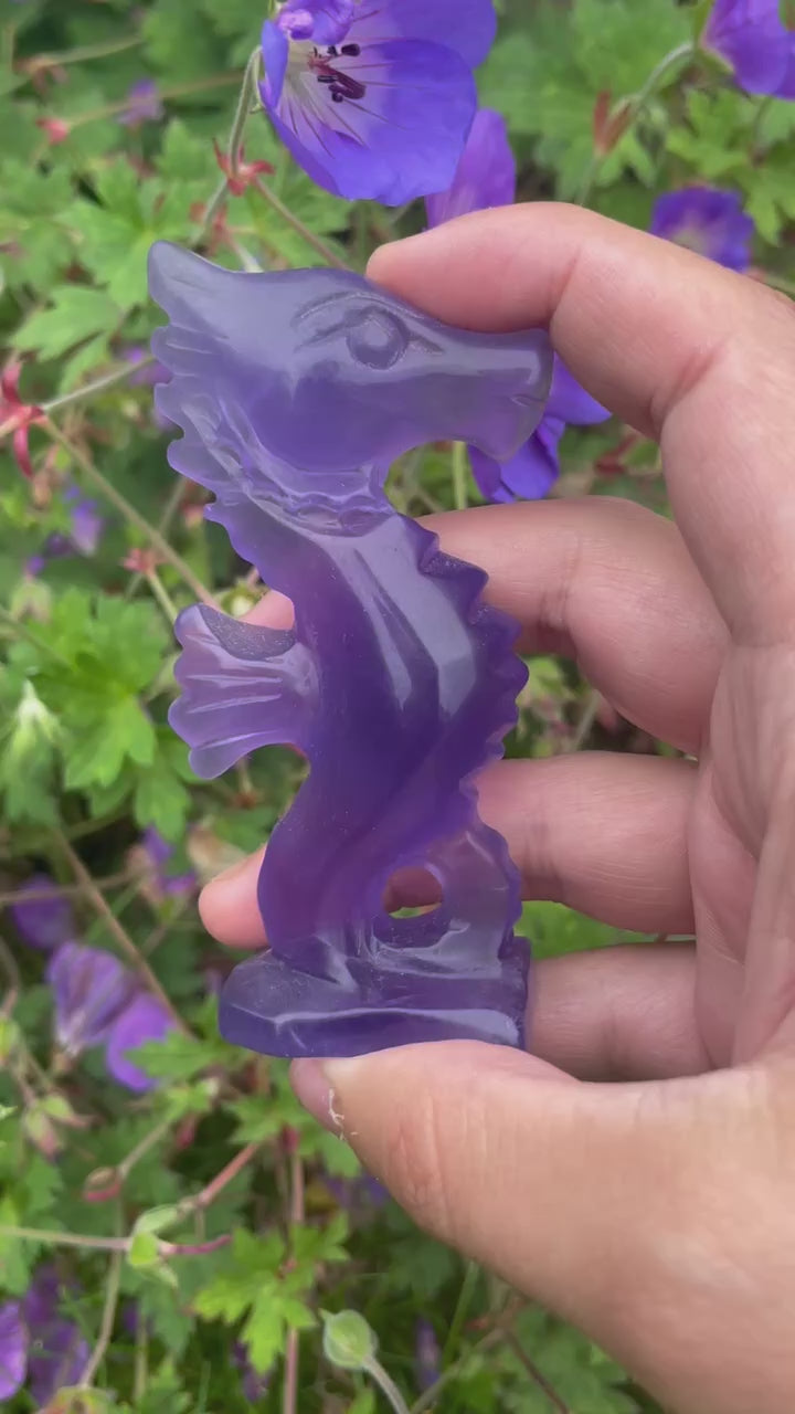 Purple Fluorite Seahorse
