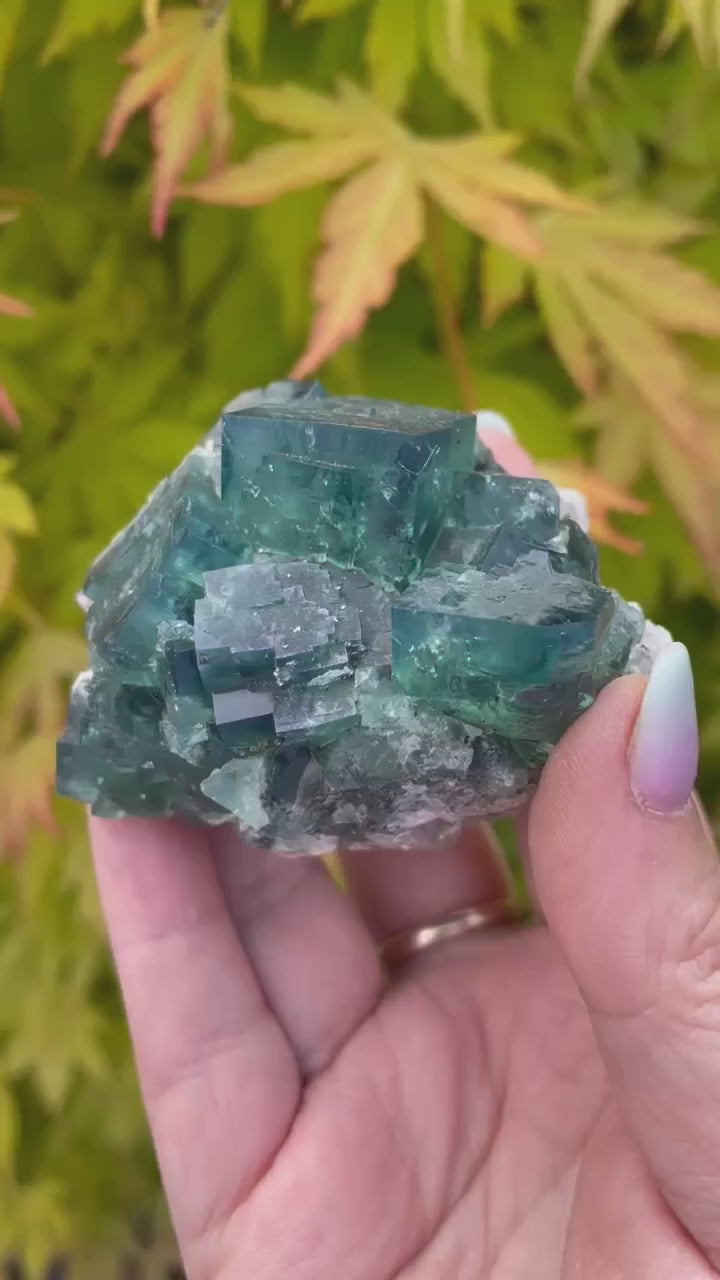 Fluorite Specimen. 50 year pocket, UK.