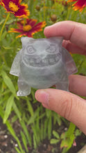 Load and play video in Gallery viewer, Green Fluorite Gengar Pokemon
