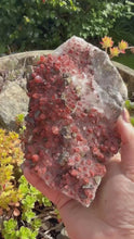 Load and play video in Gallery viewer, Red Hematite Quartz and Pyrite Specimen
