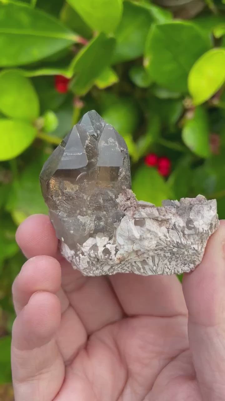 Smoky Quartz Cluster Crystal Specimen