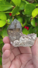 Load and play video in Gallery viewer, Smoky Quartz Cluster Crystal Specimen
