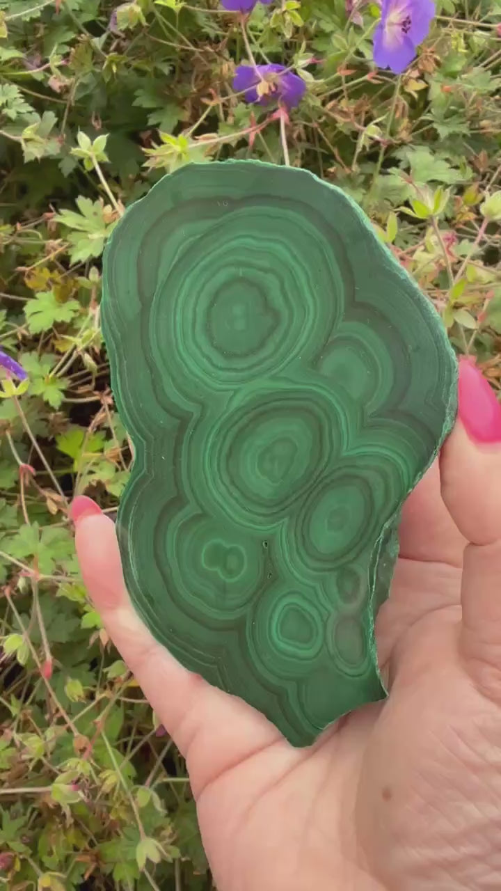 Large Malachite Slice Specimen