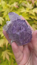 Load and play video in Gallery viewer, Stepped Purple Fluorite Specimen from Mexico
