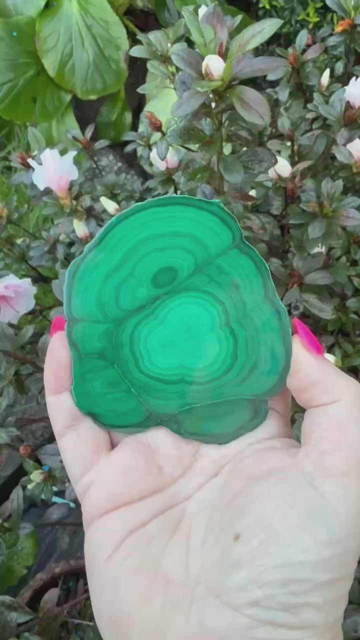 Malachite Stalactite Slice Specimen