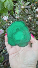 Load and play video in Gallery viewer, Malachite Stalactite Slice Specimen

