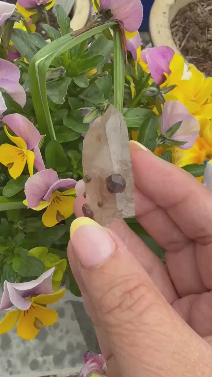 Garnet in and on Quartz Specimen from Tongbei