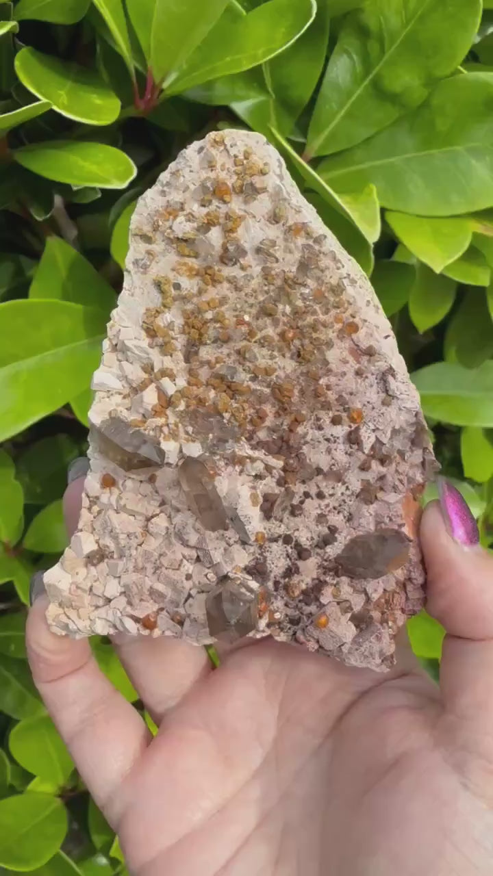 Smoky Quartz and Garnet Specimen from Fujian
