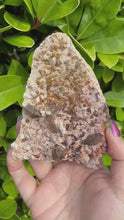 Load and play video in Gallery viewer, Smoky Quartz and Garnet Specimen from Fujian
