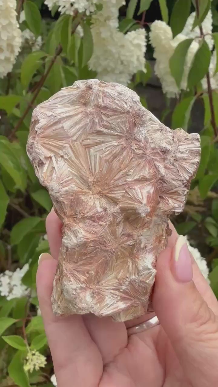 Large Pyrophillyte Specimen from Georgia, USA