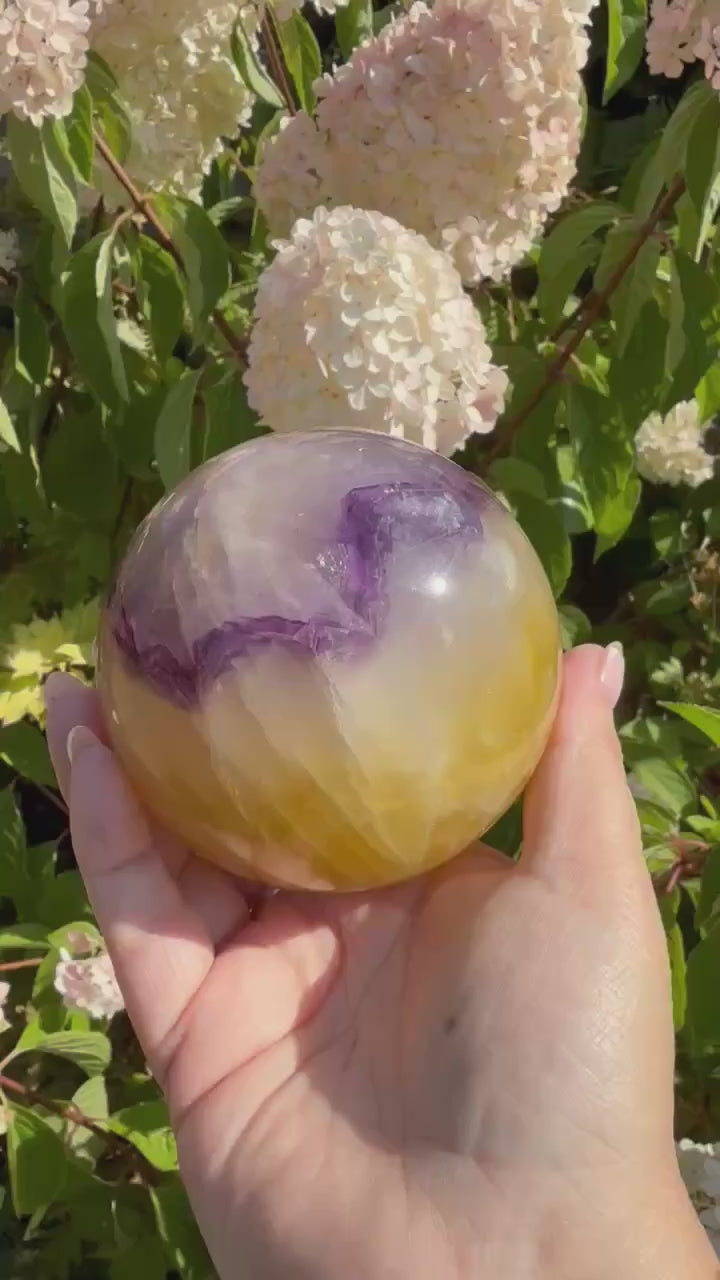 Quality Purple and Yellow Fluorite Sphere 8.1cm Dia