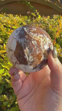 Load and play video in Gallery viewer, White Wild Horse Turquoise Sphere 7.2cm Diameter
