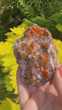 Load and play video in Gallery viewer, RESERVED Large Wulfenite Specimen from Arizona

