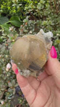 Load and play video in Gallery viewer, Rare Eye of the Devil Calcite Specimen
