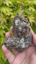 Load and play video in Gallery viewer, Chocolate Calcite Specimen
