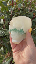 Load and play video in Gallery viewer, Fluorite Carved Skull
