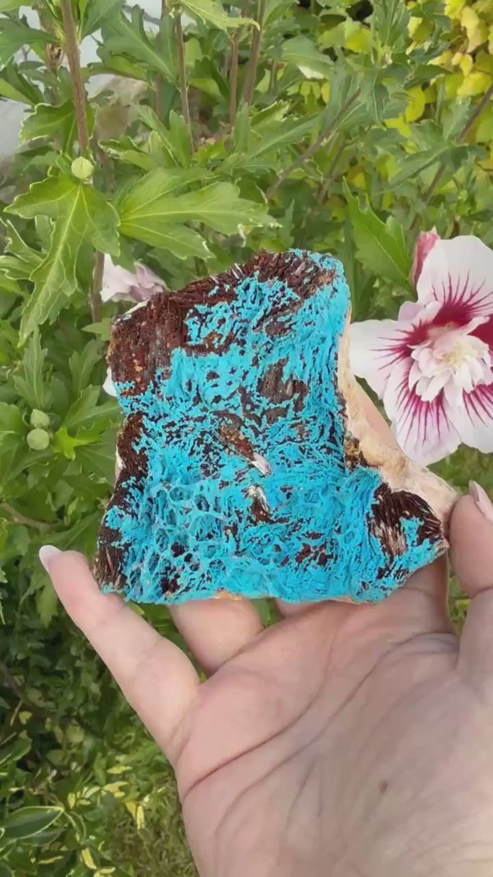 Vibrant Shattuckite Specimen