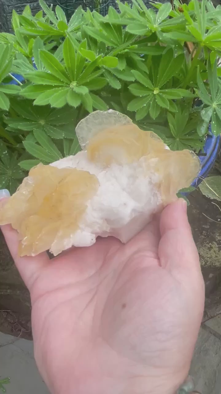 Large Yellow Leaf Calcite Specimen