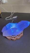 Load and play video in Gallery viewer, Flower Shape Colour Crystal Display Lightbox
