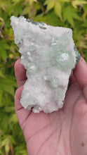 Load and play video in Gallery viewer, Green Apophyllite Specimen
