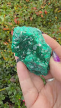 Load and play video in Gallery viewer, Large Vibrant Dioptase Specimen
