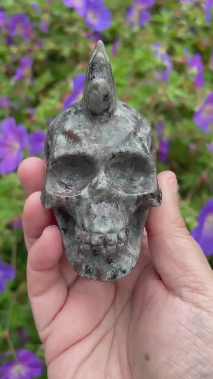 Mohican Yooperlite Skull