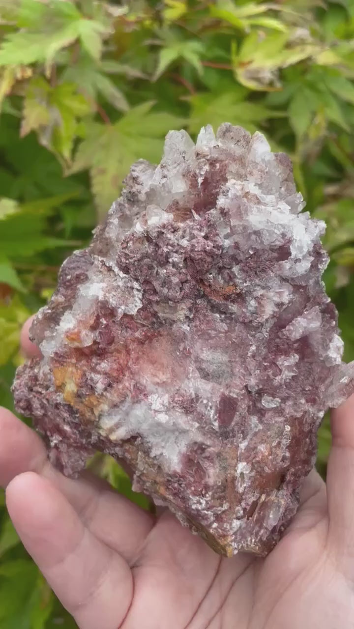 Gypsum and Calcite Specimen