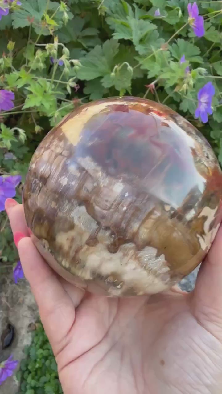 Large Petrified Wood Sphere from Madagascar 9.5cm Dia