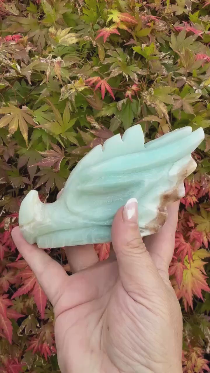 Large Caribbean Calcite Carved Dragon Head