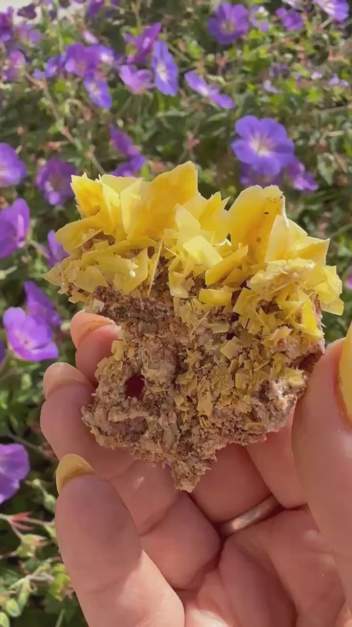 Yellow Wulfenite Specimen from Morocco