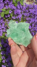 Load and play video in Gallery viewer, Rare Riemvasmaak Fluorite from South Africa
