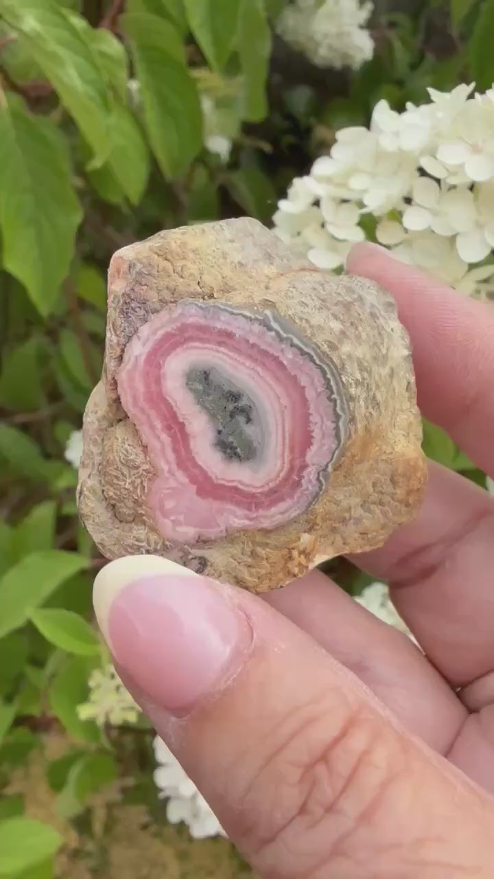 Rhodochrosite Stalactite Specimen from Argentina