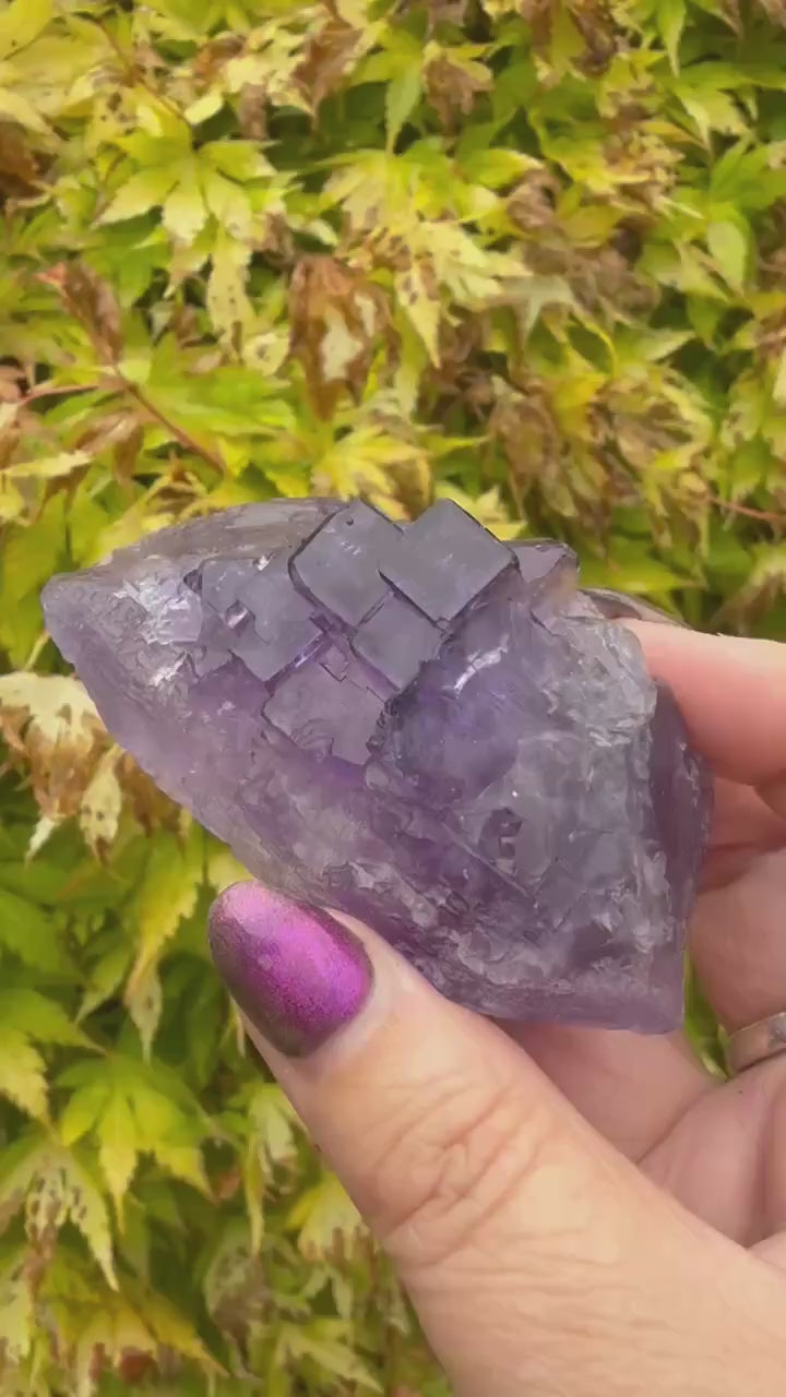 Uv Reactive Clear Stepped Purple Fluorite Specimen from XinJiang, China
