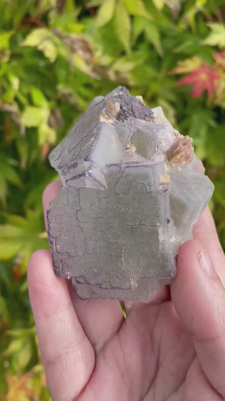 Bicolour QR Code Fluorite Specimen