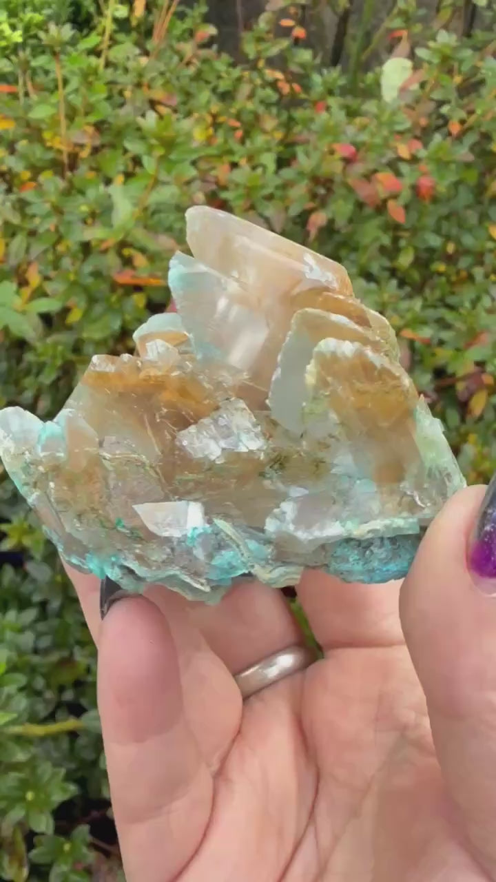 Gibbsite on Selenite Specimen