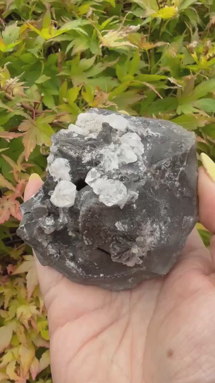 Diamond Quartz on Septarian Nodule Specimen from Auvergne-Rhône-Alpes, France