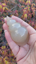 Load and play video in Gallery viewer, Druzy Agate Shell Carving
