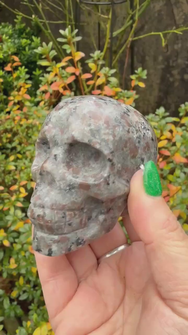 Yooperlite Skull