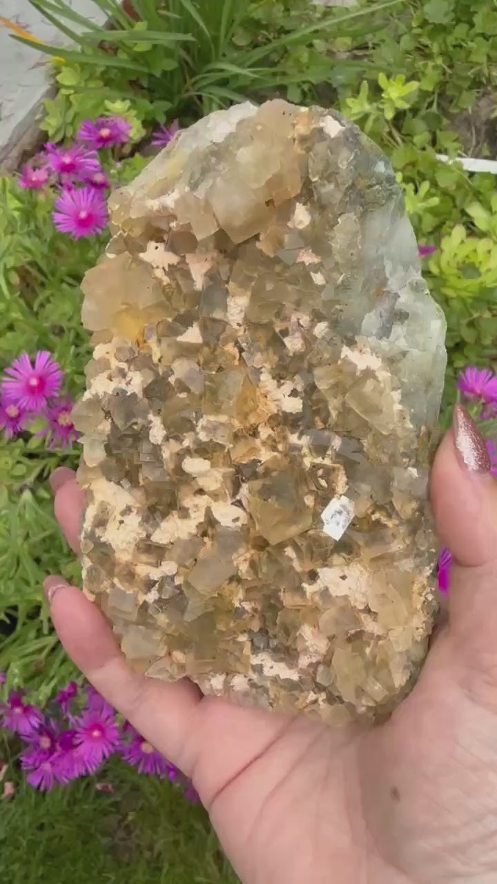 UV Reactive Cubic Yellow Fluorite Specimen from Beijing
