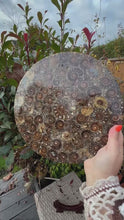 Load and play video in Gallery viewer, Ammonite Plate with Stand
