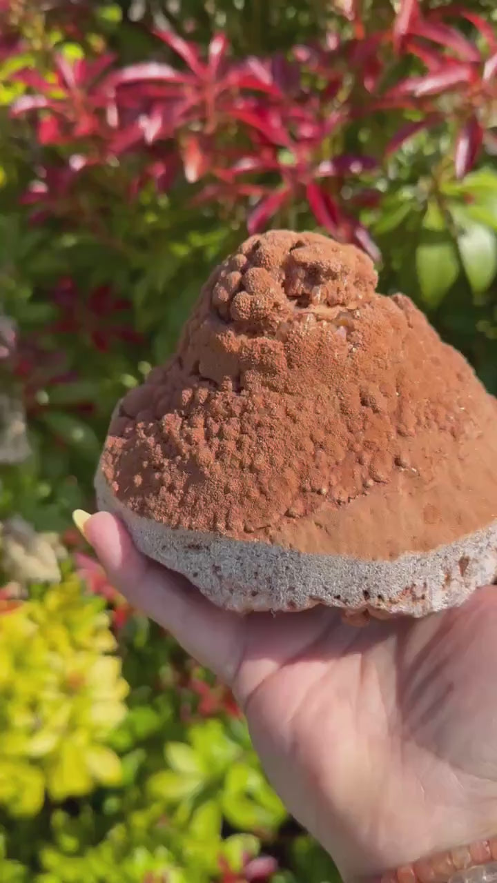 Amazing Wenshan Calcite Geode Specimen