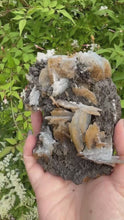 Load and play video in Gallery viewer, Rare Blue Barite Baryte from Morocco
