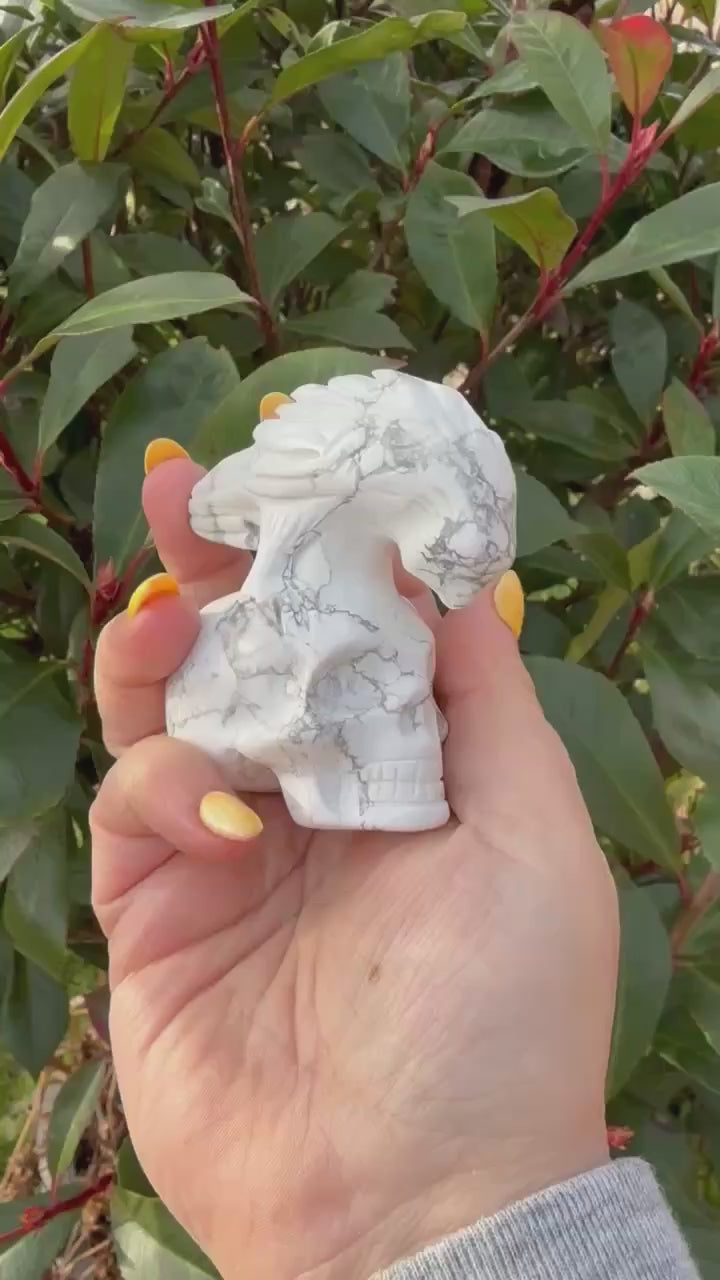 Howlite Skull and Raven Skull Carving