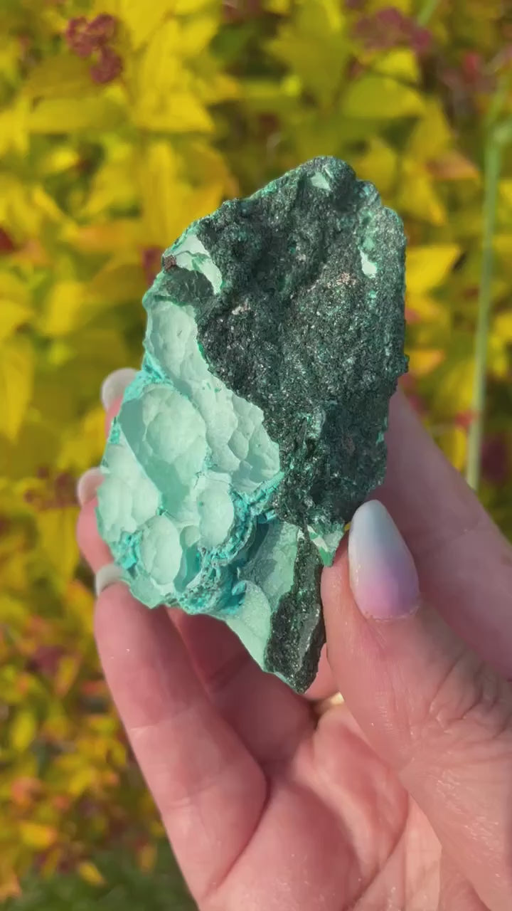 Chrysocolla and Malachite Specimen from Zaire