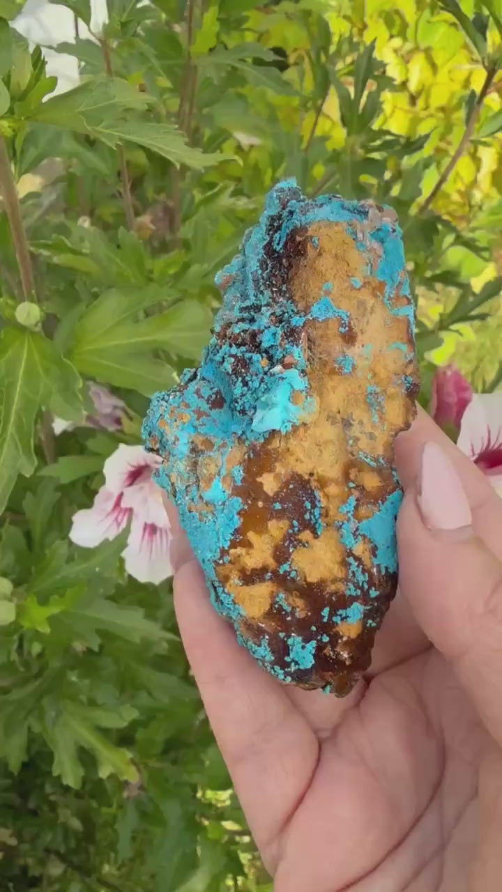Vibrant Shattuckite Specimen